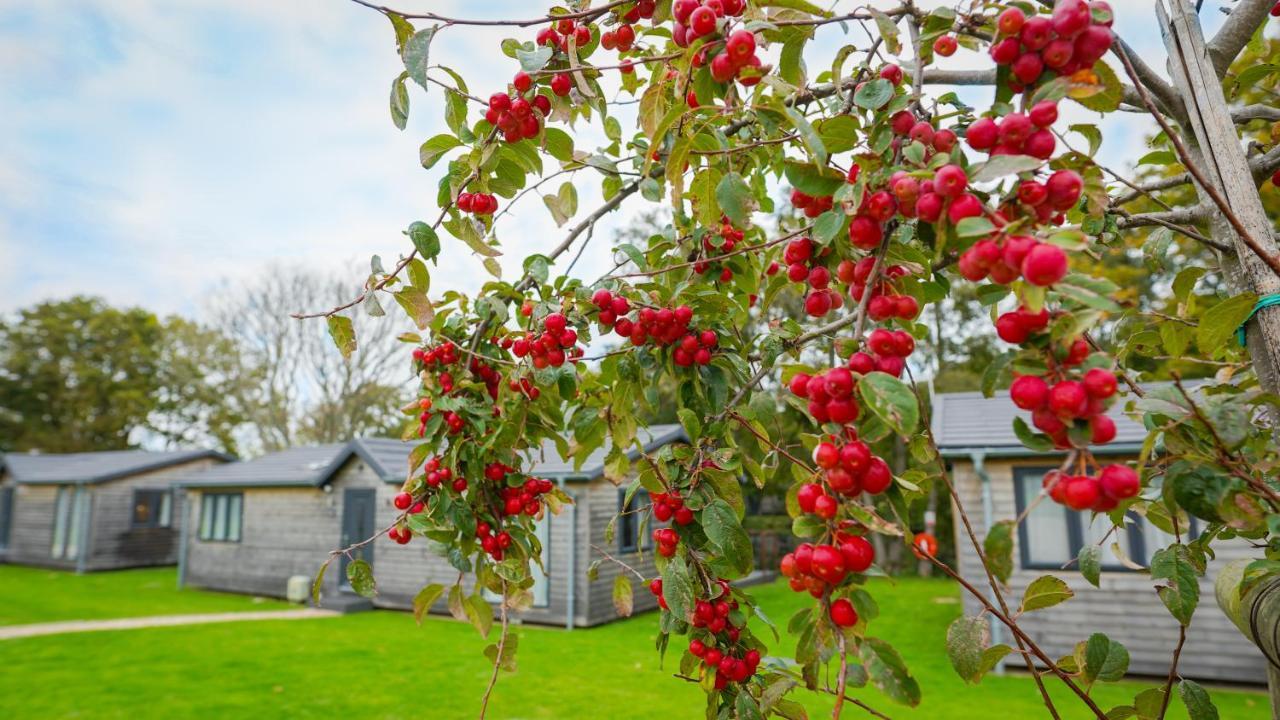فندق Warrenwood Country Park بوليغيت المظهر الخارجي الصورة